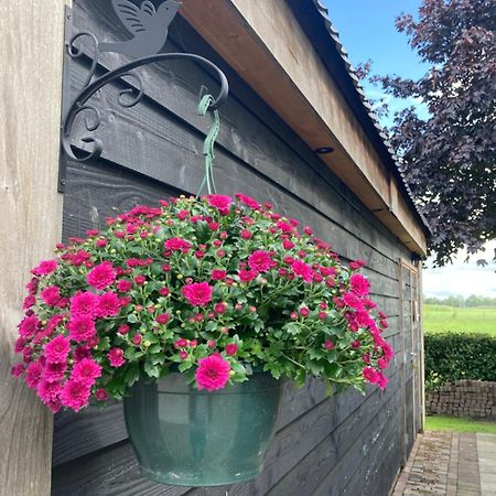 Villa De Barg Vinkenbuurt Exterior foto